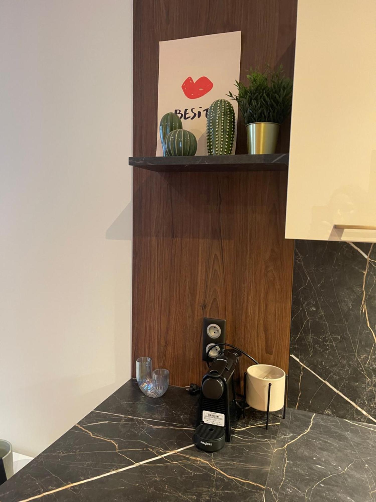 Appartement Au Coeur Du Centre Ville De Carcassonne Dış mekan fotoğraf